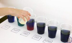 Acids Bases and Salts Lesson Plan For Class 10