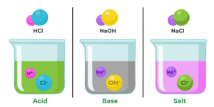 Acids Bases and Salts Lesson Plan For Class 10