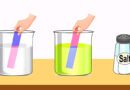 Acids Bases and Salts Lesson Plan For Class 10