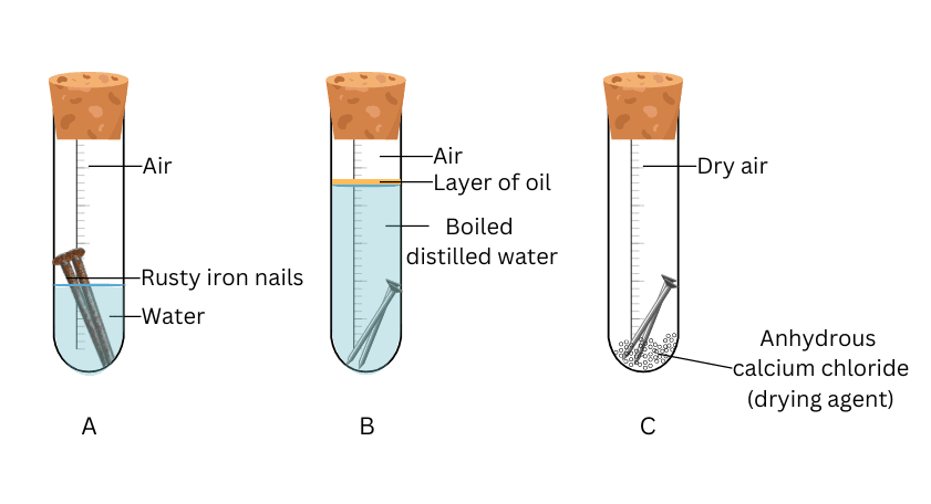 Metals and Non Metals Experiment For Class 10