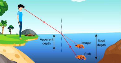 Light Reflection and Refraction Experiment For Class 10