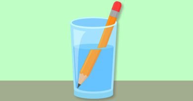 Light Reflection and Refraction Lesson Plan For Class 10