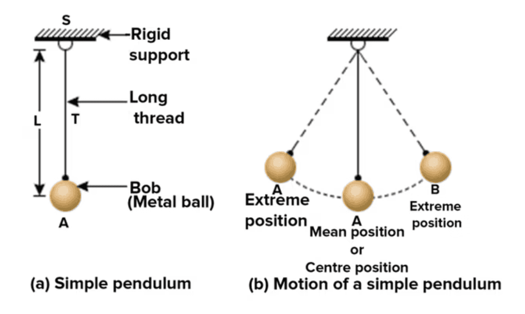 Motion and Time Experiment For Class 7