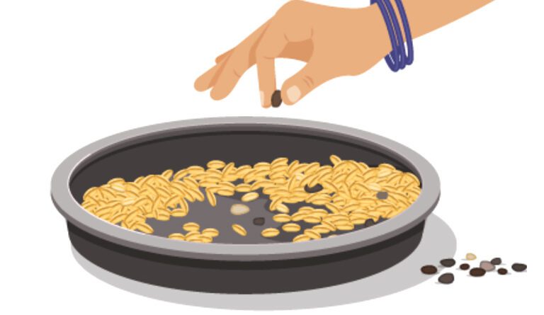 Separation of Substances Experiment for Class 6