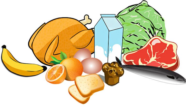 Sources Of Food Lesson Plan For Class 6